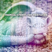 Tropical Storms For Meditation