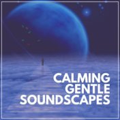 Calming Gentle Soundscapes