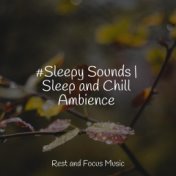 #Sleepy Sounds | Sleep and Chill Ambience