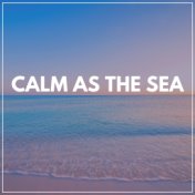 Calm as the Sea