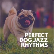 Perfect Dog Jazz Rhythms