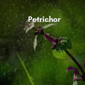 Petrichor