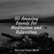 50 Amazing Sounds for Meditation and Relaxation