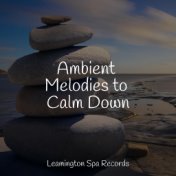 Ambient Melodies to Calm Down