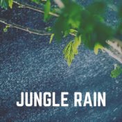 Jungle Rain