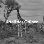 Urteil des Grünen