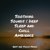 Soothing Sounds | Deep Sleep and Chill Ambience