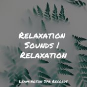Relaxation Sounds | Relaxation