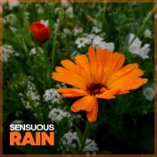 Sensuous Rain