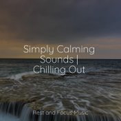 Simply Calming Sounds | Chilling Out