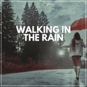 Walking in the Rain