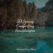 50 Spring Comforting Soundscapes