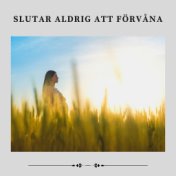 Slutar Aldrig att Förvåna