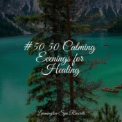 #50 50 Calming Evenings for Healing