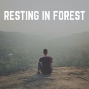 Resting in Forest