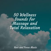 50 Wellness Sounds for Massage and Total Relaxation