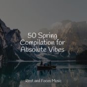 50 Spring Compilation for Absolute Vibes