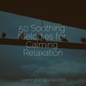 50 Soothing Melodies for Calming Relaxation