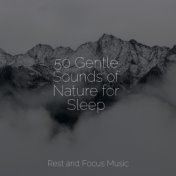 50 Gentle Sounds of Nature for Sleep