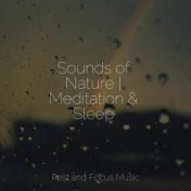 Sounds of Nature | Meditation & Sleep