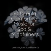 50 Deeply Comforting Music for Spa & Mindfulness