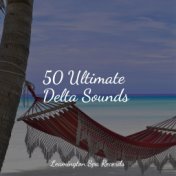 50 Ultimate Delta Sounds