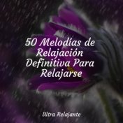 50 Melodías de Relajación Definitiva Para Relajarse