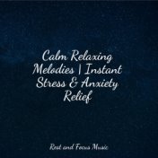 Calm Relaxing Melodies | Instant Stress & Anxiety Relief