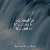 50 Restful Melodies for Relaxation