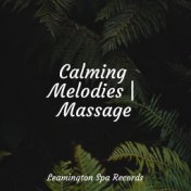 Calming Melodies | Massage