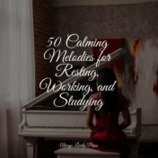 50 Calming Melodies for Resting, Working, and Studying