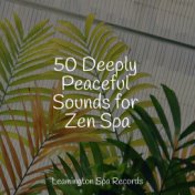 50 Deeply Peaceful Sounds for Zen Spa