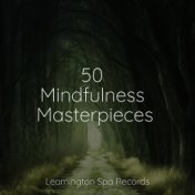 50 Mindfulness Masterpieces