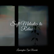 Soft Melodies to Relax