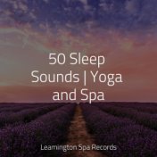 50 Sleep Sounds | Yoga and Spa