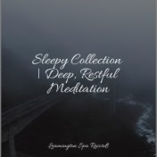 Sleepy Collection | Deep, Restful Meditation