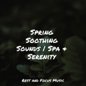 Spring Soothing Sounds | Spa & Serenity