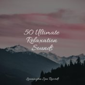 50 Ultimate Relaxation Sounds