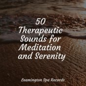 50 Therapeutic Sounds for Meditation and Serenity
