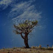 Spring 50 - Beautiful Garden
