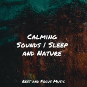 Calming Sounds | Sleep and Nature