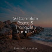 50 Complete Peace & Tranquility Paradise
