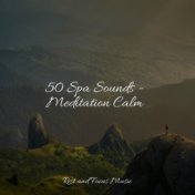 50 Spa Sounds - Meditation Calm