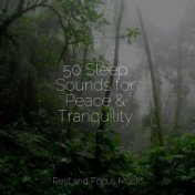 50 Sleep Sounds for Peace & Tranquility