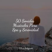 50 Sonidos Musicales Para Spa y Serenidad