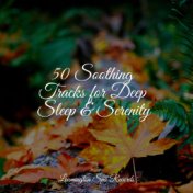 50 Soothing Tracks for Deep Sleep & Serenity