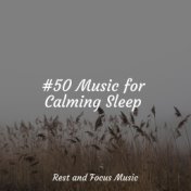 #50 Music for Calming Sleep