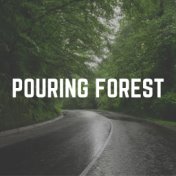 Pouring Forest