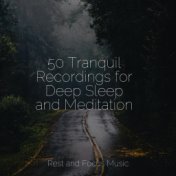 50 Tranquil Recordings for Deep Sleep and Meditation