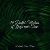 50 Restful Collection of Yoga and Sleep